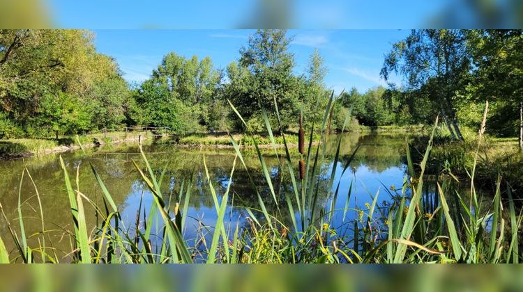 Ma-Cabane - Vente Maison ROMORANTIN LANTHENAY, 198 m²