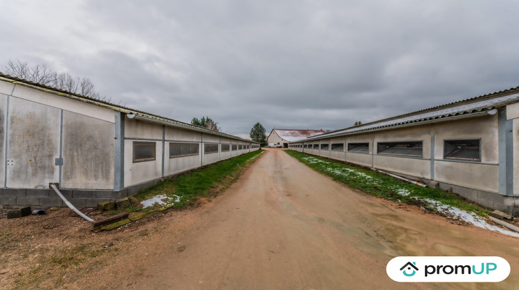 Ma-Cabane - Vente Maison Rongères, 225 m²