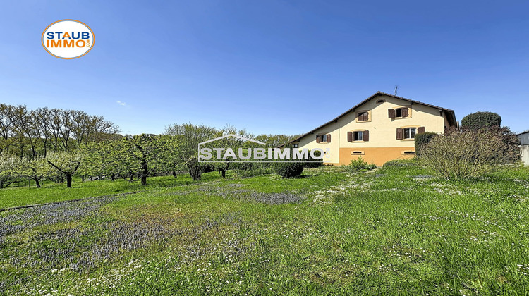 Ma-Cabane - Vente Maison Roppentzwiller, 155 m²