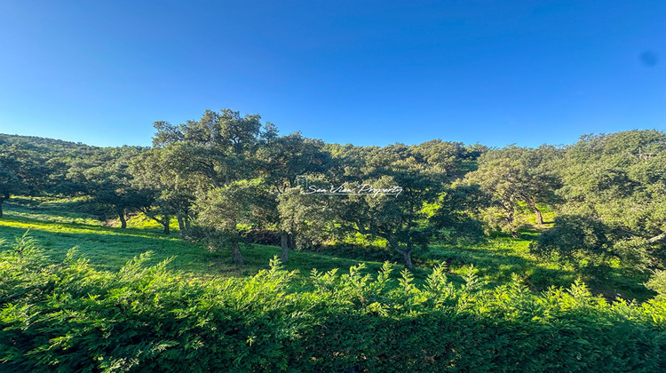 Ma-Cabane - Vente Maison ROQUEBRUNE-SUR-ARGENS, 240 m²