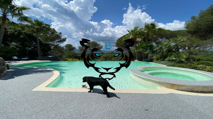 Ma-Cabane - Vente Maison ROQUEBRUNE-SUR-ARGENS, 433 m²