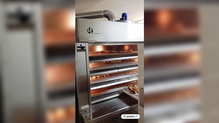 Ma-Cabane - Vente Maison Roquefort, 395 m²