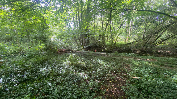 Ma-Cabane - Vente Maison ROUANS, 85 m²