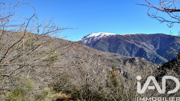 Ma-Cabane - Vente Maison Roubion, 31 m²