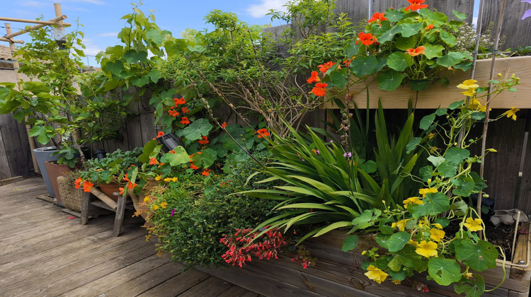 Ma-Cabane - Vente Maison Roujan, 130 m²