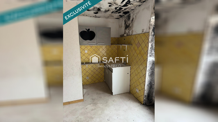 Ma-Cabane - Vente Maison Roumazieres-Loubert, 230 m²