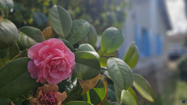 Ma-Cabane - Vente Maison Royan, 86 m²