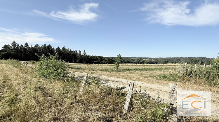 Ma-Cabane - Vente Maison ROYERES, 250 m²