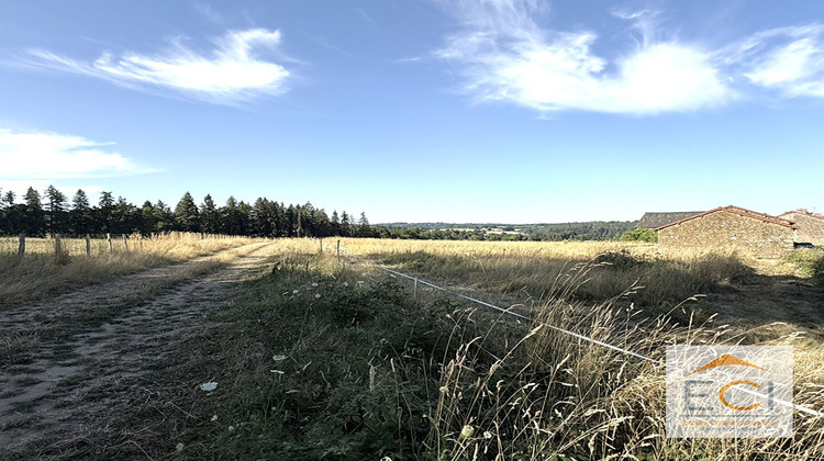 Ma-Cabane - Vente Maison ROYERES, 250 m²