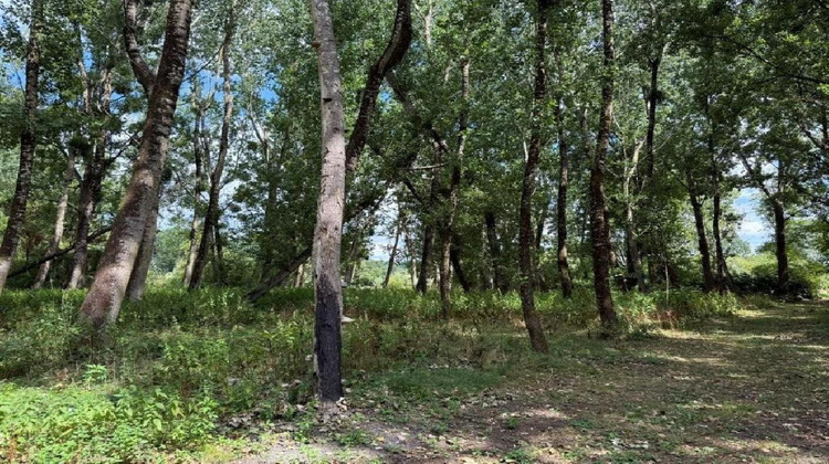 Ma-Cabane - Vente Maison RUFFEC, 89 m²