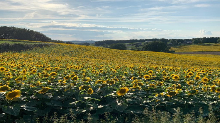 Ma-Cabane - Vente Maison Sadillac, 195 m²