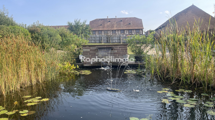 Ma-Cabane - Vente Maison Saessolsheim, 740 m²