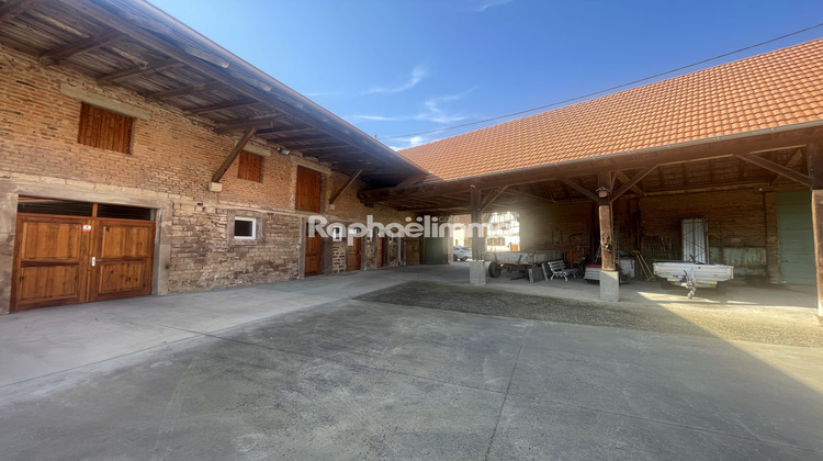 Ma-Cabane - Vente Maison Saessolsheim, 290 m²