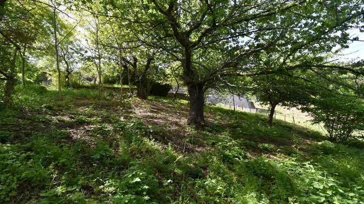 Ma-Cabane - Vente Maison SAINT AGREVE, 100 m²