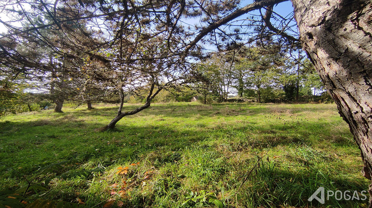 Ma-Cabane - Vente Maison SAINT-AMAND, 100 m²