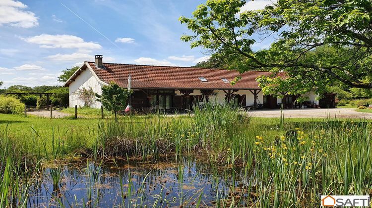 Ma-Cabane - Vente Maison Saint-Amour, 297 m²