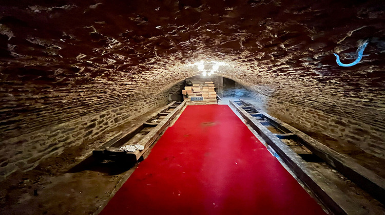 Ma-Cabane - Vente Maison SAINT-AMOUR, 450 m²