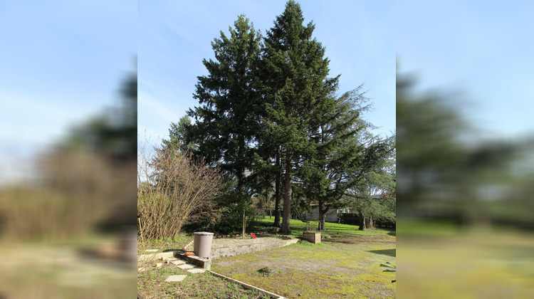 Ma-Cabane - Vente Maison SAINT-AMOUR, 170 m²