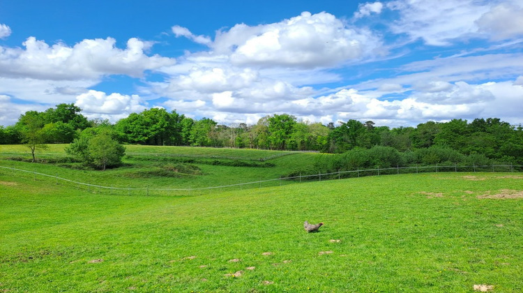 Ma-Cabane - Vente Maison SAINT ANDRE DE CUBZAC, 323 m²