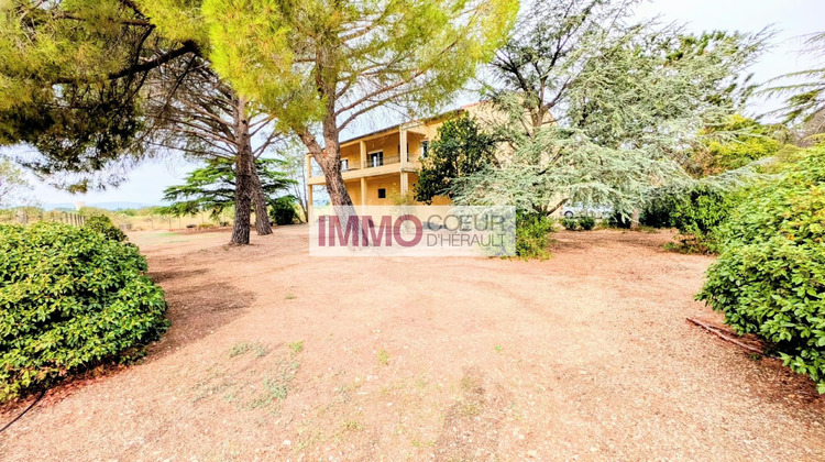Ma-Cabane - Vente Maison SAINT ANDRE DE SANGONIS, 218 m²