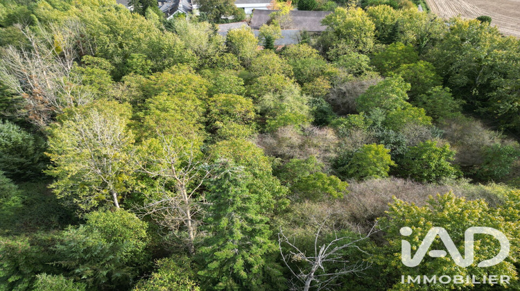 Ma-Cabane - Vente Maison Saint-Armel, 300 m²