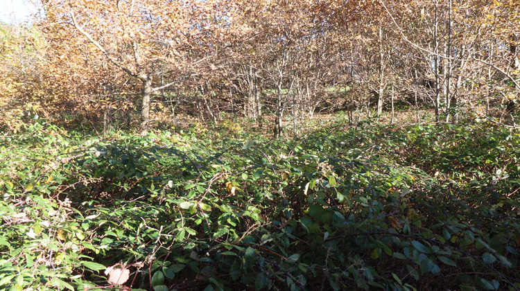 Ma-Cabane - Vente Maison SAINT-AUGUSTIN, 45 m²