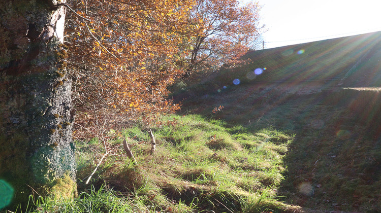 Ma-Cabane - Vente Maison SAINT-AUGUSTIN, 45 m²