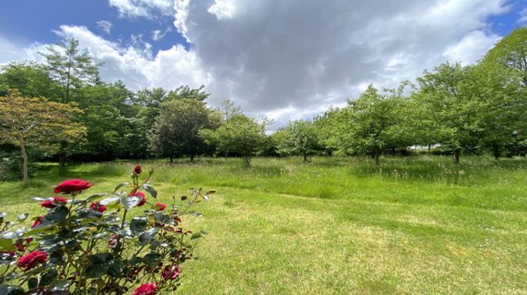 Ma-Cabane - Vente Maison Saint-Avé, 215 m²