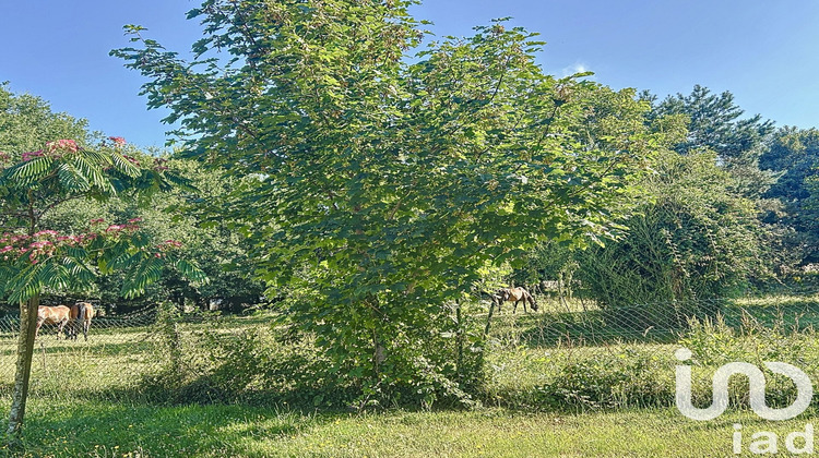 Ma-Cabane - Vente Maison Saint Avé, 288 m²