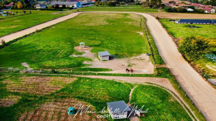 Ma-Cabane - Vente Maison SAINT BENIGNE, 224 m²