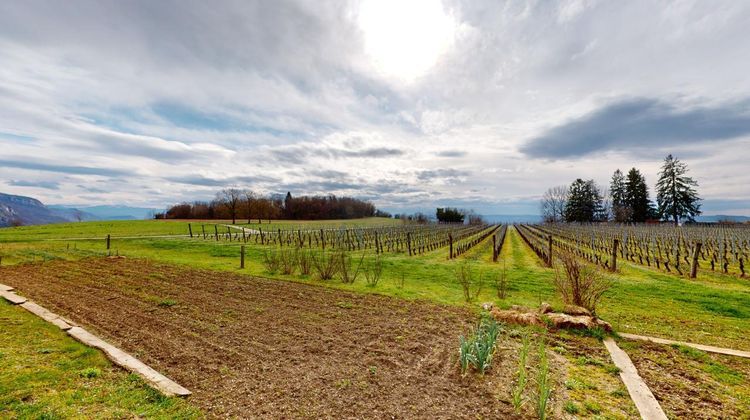 Ma-Cabane - Vente Maison SAINT-BENOIT, 238 m²