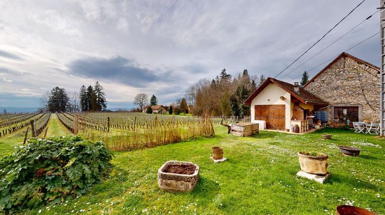 Ma-Cabane - Vente Maison SAINT-BENOIT, 238 m²