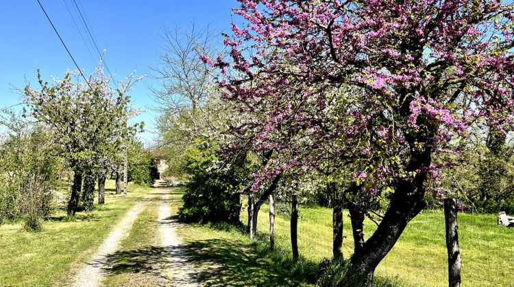 Ma-Cabane - Vente Maison SAINT BENOIT DE CARMAUX, 215 m²