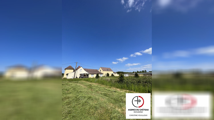 Ma-Cabane - Vente Maison Saint-Benoît-sur-Loire, 402 m²