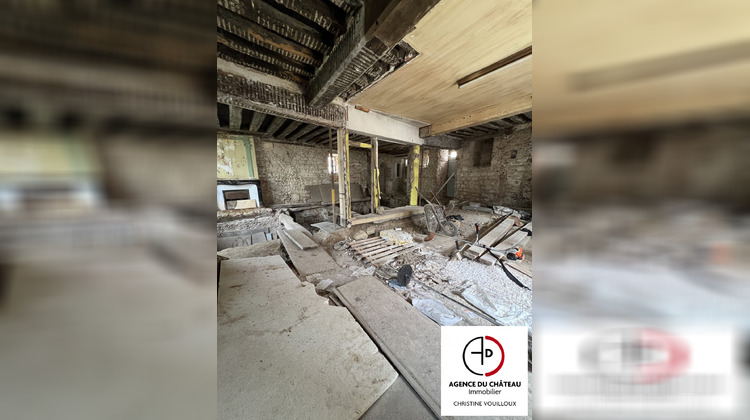 Ma-Cabane - Vente Maison Saint-Benoît-sur-Loire, 350 m²