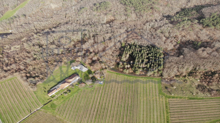 Ma-Cabane - Vente Maison Saint-Bonnet-sur-Gironde, 387 m²