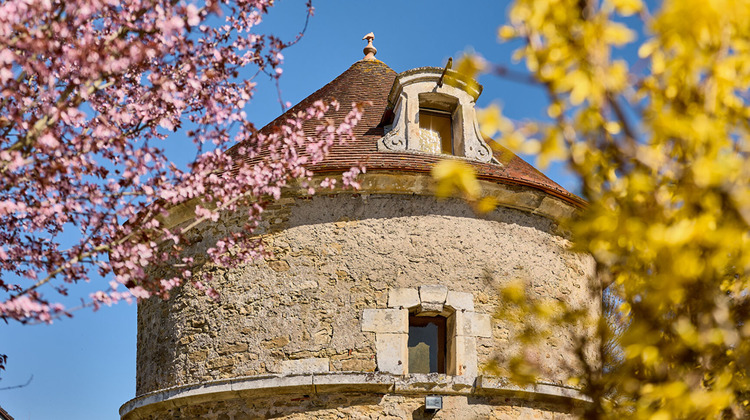 Ma-Cabane - Vente Maison SAINT-BRIS-LE-VINEUX, 350 m²
