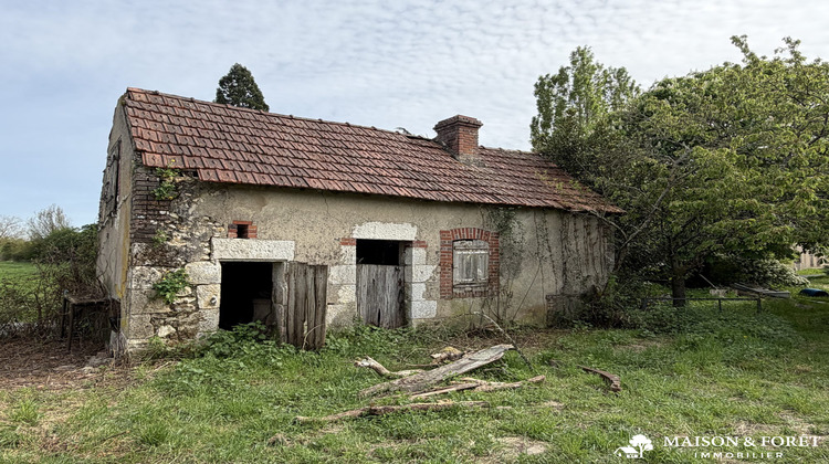 Ma-Cabane - Vente Maison Saint-Brisson-sur-Loire, 150 m²
