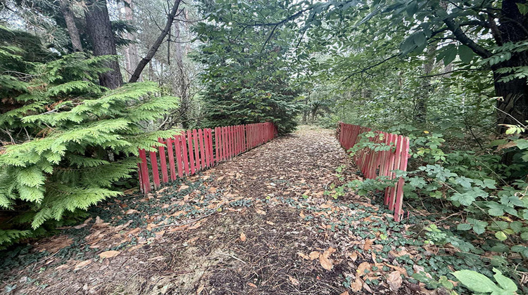 Ma-Cabane - Vente Maison SAINT-CELERIN, 36 m²