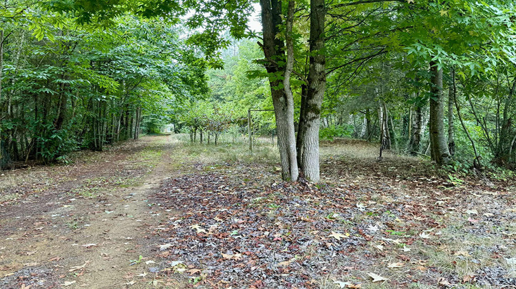 Ma-Cabane - Vente Maison SAINT-CELERIN, 36 m²