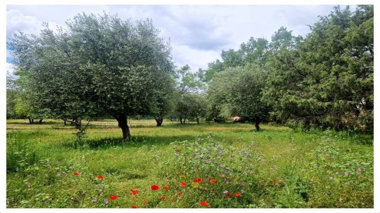 Ma-Cabane - Vente Maison SAINT CEZAIRE SUR SIAGNE, 284 m²