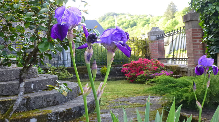 Ma-Cabane - Vente Maison SAINT-CHAMANT, 156 m²