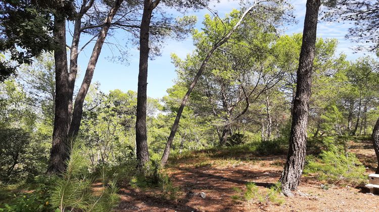 Ma-Cabane - Vente Maison Saint-Clément-de-Rivière, 175 m²