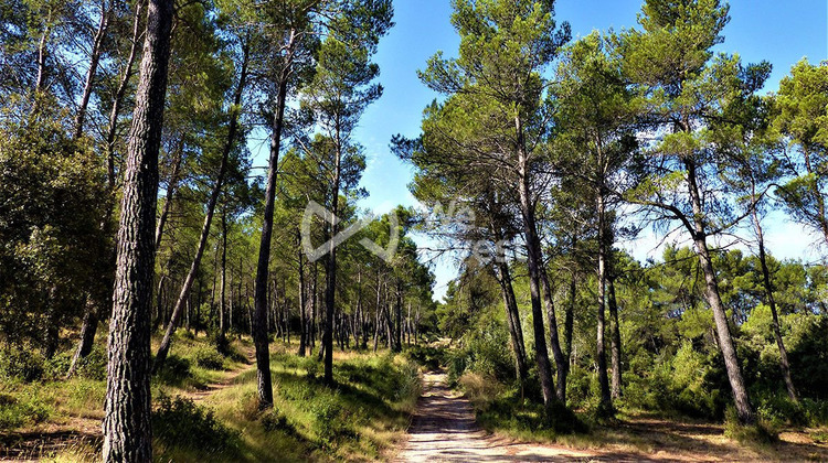 Ma-Cabane - Vente Maison Saint-Clément-de-Rivière, 160 m²