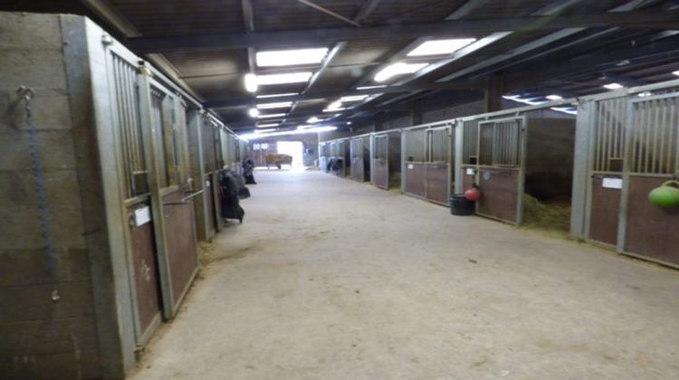 Ma-Cabane - Vente Maison Saint-Cyr-de-Favières, 600 m²