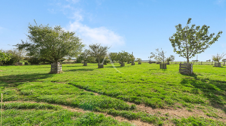 Ma-Cabane - Vente Maison SAINT-DENIS-D'ANJOU, 250 m²