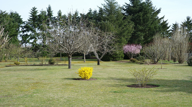 Ma-Cabane - Vente Maison SAINT-DENIS-DE-L'HOTEL, 270 m²