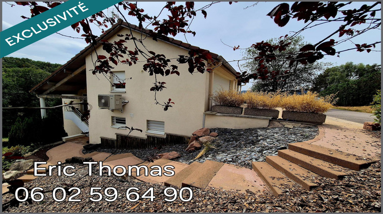 Ma-Cabane - Vente Maison Saint-Die-des-Vosges, 225 m²