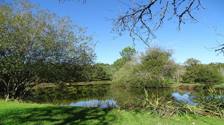 Ma-Cabane - Vente Maison SAINT-ETIENNE-DE-PUYCORBIER, 373 m²