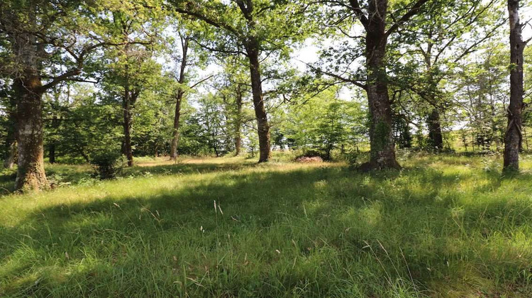 Ma-Cabane - Vente Maison SAINT-ETIENNE-DE-PUYCORBIER, 373 m²